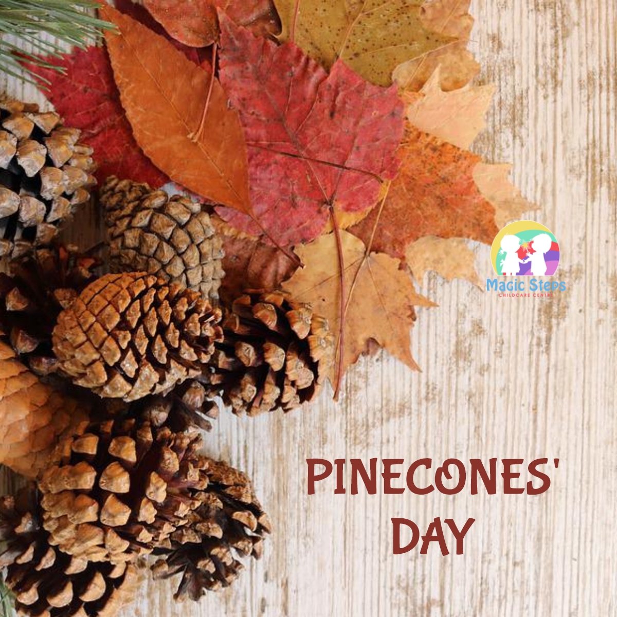 Pinecones' Day- Tuesday 8th November
